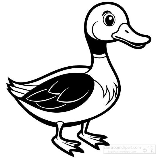 Simple duck clipart with black stroked lines