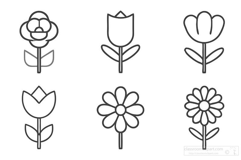 simple flower line drawings set