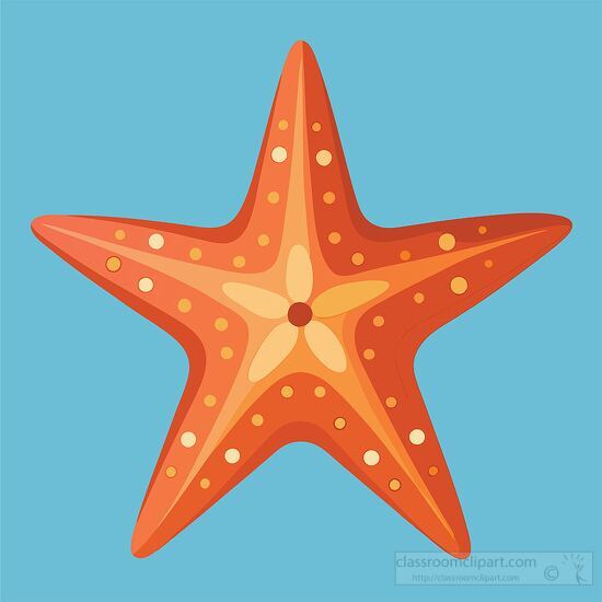 simple vector of an orange starfish decorated with dots