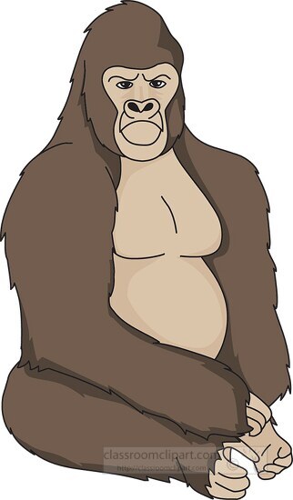 sitting mountain gorilla clip art