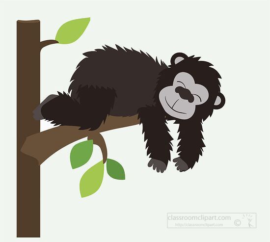 sleeping monkey hanging off a tree branch clipart