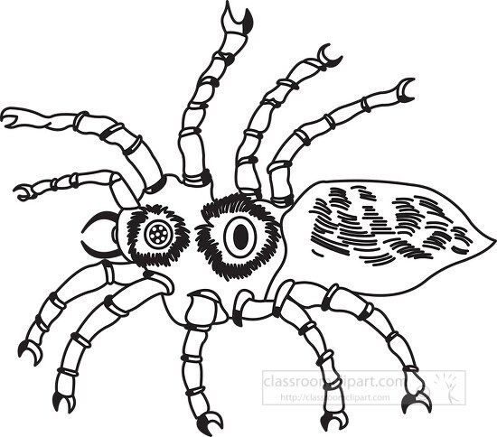 spider black outline clipart 10