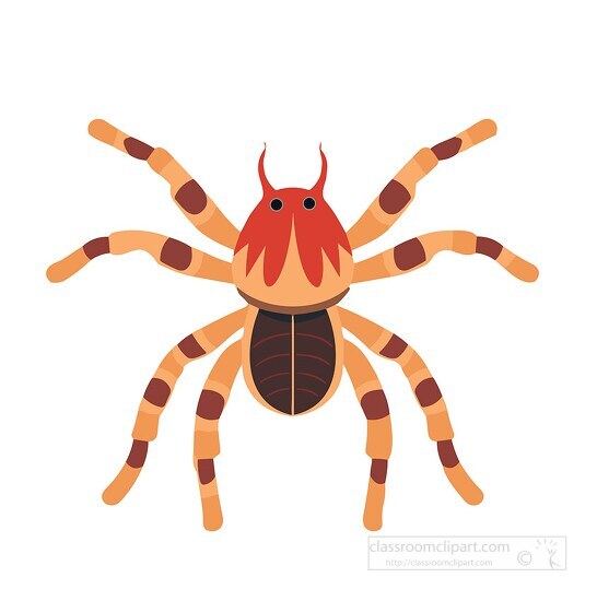 spider eight-legged arachnid clip art