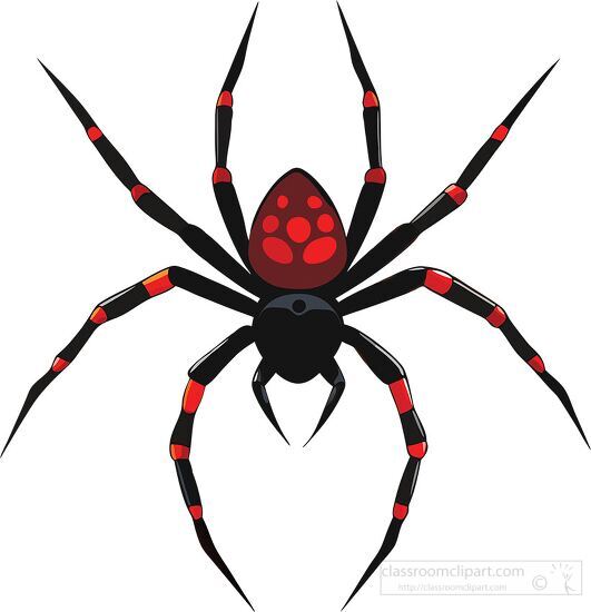 spider featuring bright red accents on its legs