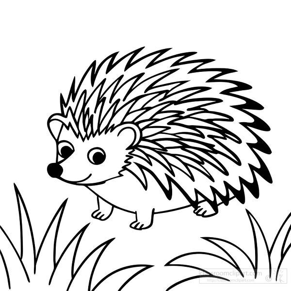 spiky hedgehog walking through the grass in simple line art