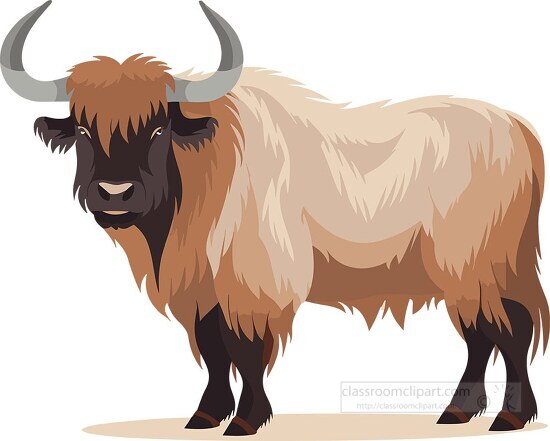 standing yak shaggy haired mammal clip art