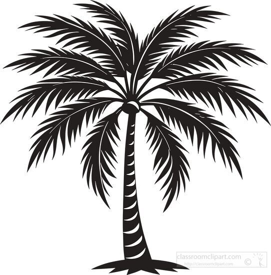 stylized drawing of a palm tree