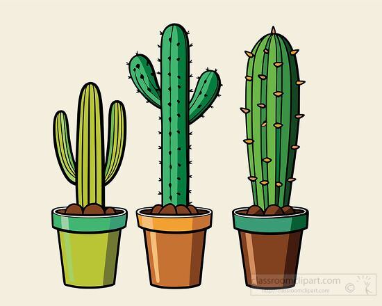 three shaped desert cacti in individual colorful pots