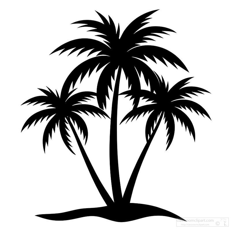 tropical palm tree design in black silhouette