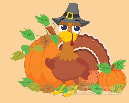 turkey wearing hat surrounded by pumpkins thanksgiving