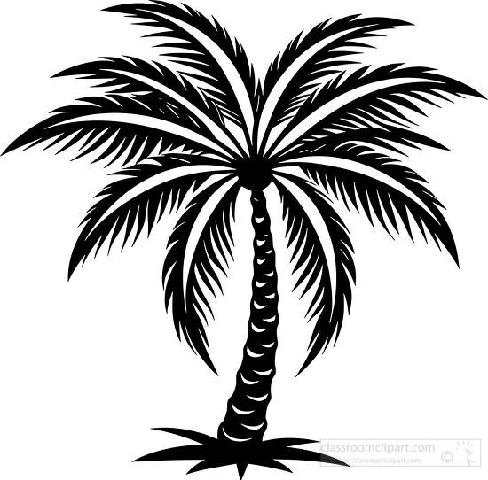 vector image of a palm tree