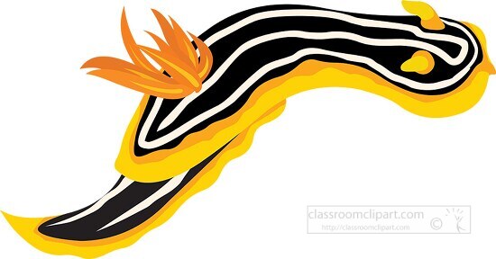 yellow black white sea slug clip art