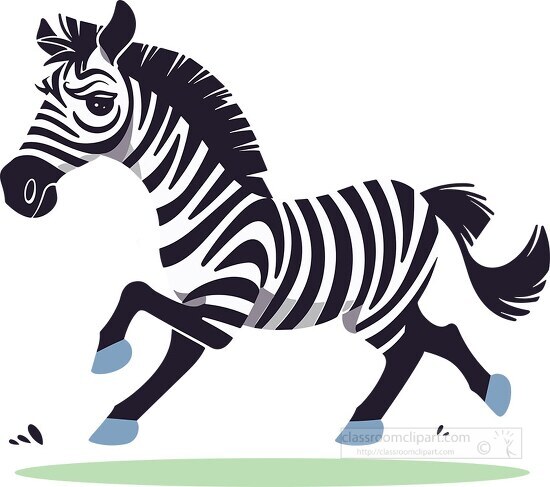 zebra full body running playful funny white background