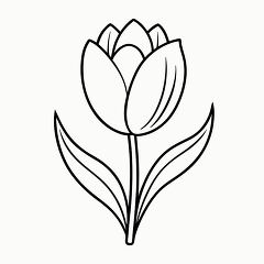 Beautiful Tulip Black Outline for Printable Coloring