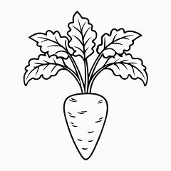 Black Outline of a Carrot Plant for Coloring Activities