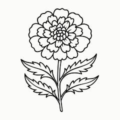 Black Outline of a Marigold Flower for Printing and Coloring