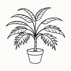 Black Outline Printable Design of Areca Palm Plant