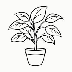 Black Outline Printable of a Rubber Plant for Coloring