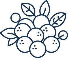 blueberry bush solid line icon