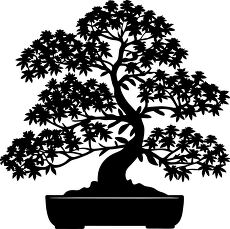 bonsai tree silhouette