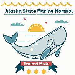 Bowhead Whale Alaskas State Symbol Illustration