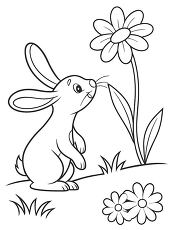 Bunny Sniffing a Flower Coloring Page