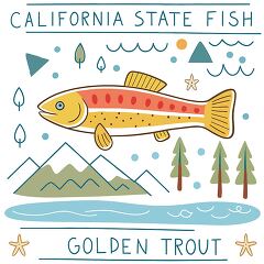 California State Fish Illustration Featuring Golden Trout