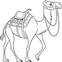 Camel With Bridle and Saddle Ready for a Journey