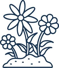 chamomile plant line icon