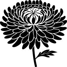 chrysanthemum flower silhouette