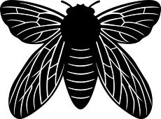 cicada silhouette