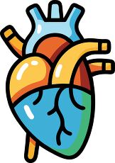 colorful cartoon icon of a human heart