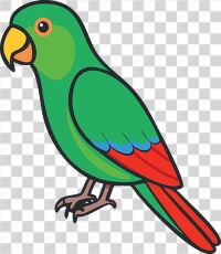 Colorful Parrot Clipart for Fun Designs and Projects