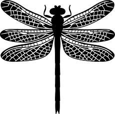 dragonfly outline silhouette