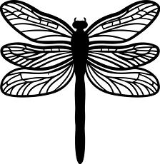 dragonfly outline silhouette wings