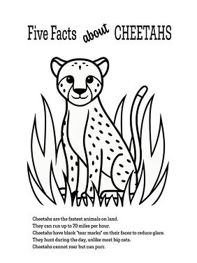 Five Facts About Cheetahs Printable