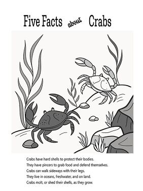 Fun Facts About Crabs Coloring Page for Kids