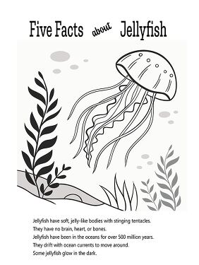 Fun Facts About Jellyfish Coloring Printable for Kids