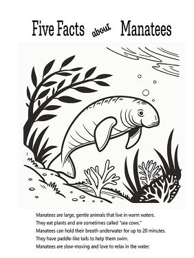 Fun Facts About Manatees Coloring Printable for Kids