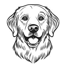 Golden Retriever Outline Art for Pet Fans