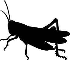 imple Side View Silhouette of a Grasshopper Clip art