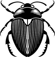 Intricate Beetle Silhouette