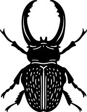 Large Beetle Silhouette in Natural Pose