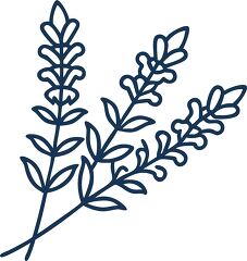 lavender sprig solid line icon