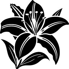 lily flower silhouette