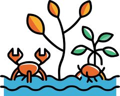 mangrove forest with mangrove trees and crabs