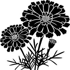 marigold flower silhouette