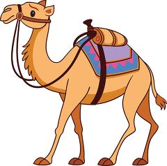 One Hump Camel With Bridle and Saddle Design for Clip Art