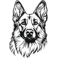 Outline of a German Shepherds Face