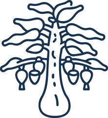 papaya tree solid line icon